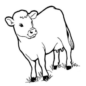 домашние животные корова на лугу