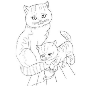 домашние животные кошка и котенок с клубком