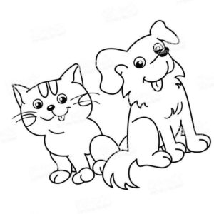 домашние животные кот и собака