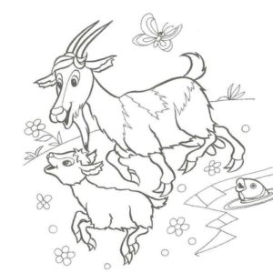 домашние животные коза и козленок