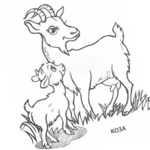 домашние животные коза и козленок на травке