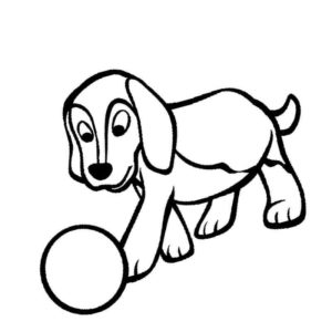домашние животные собака с мячиком