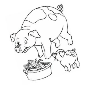 домашние животные свинья и поросенок