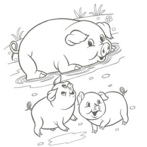 домашние животные свинья с поросятами
