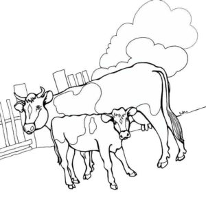 домашние животные теленок и корова