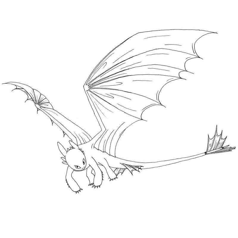 Раскраска - Как приручить дракона 2 - Беззубик | MirChild