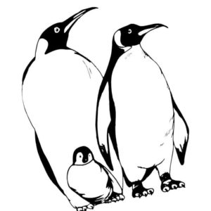 дружная семья пингвинов