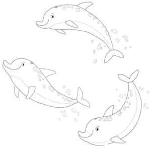 Друзья дельфины