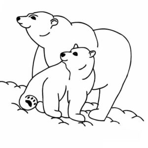два белых медведя