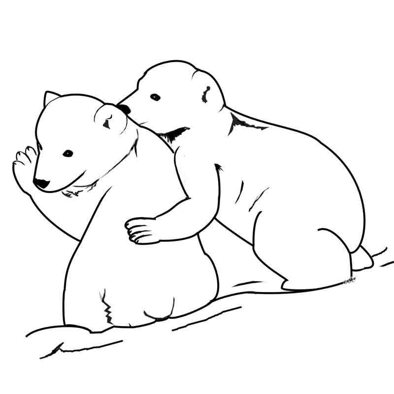 два белых медвежонка