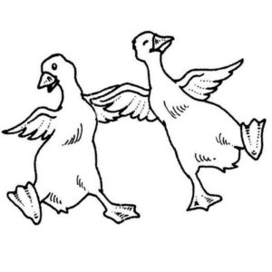 два гуся танцуют