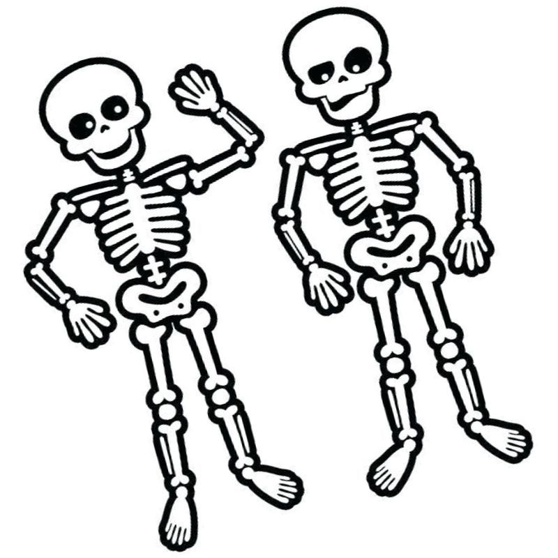 два скелета