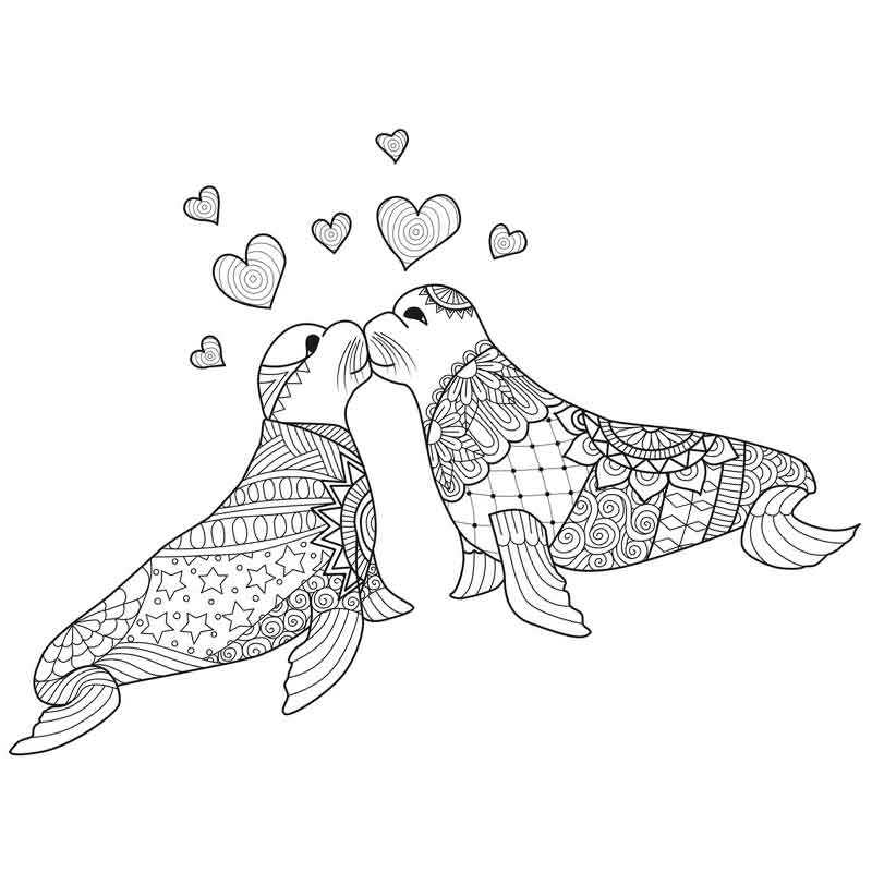Два тюленя в день влюбленных