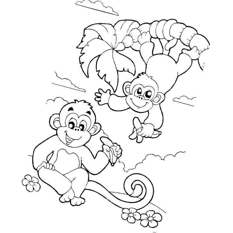 две обезьянки едят бананы