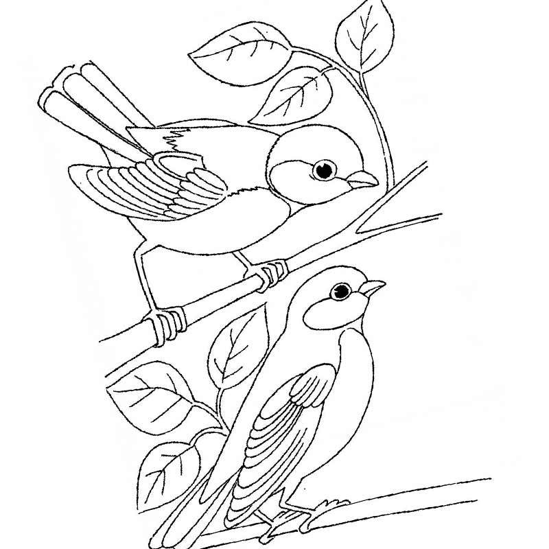 Раскраски зимующие птицы