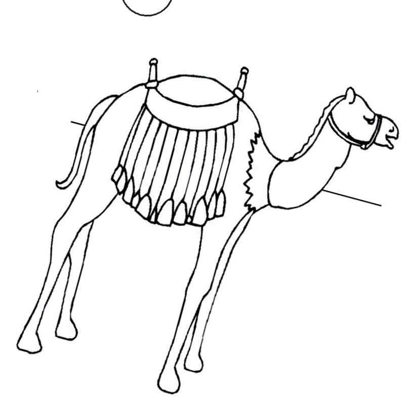 египетская пустыня с верблюдом