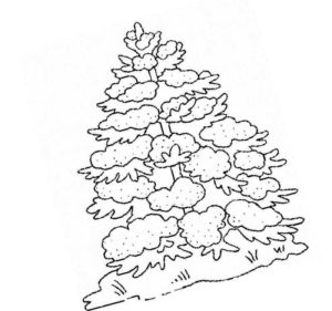 елочка в снегу в зимнем лесу