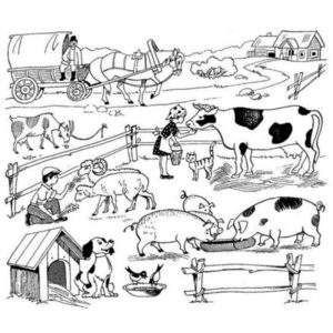 ферма домашних животных