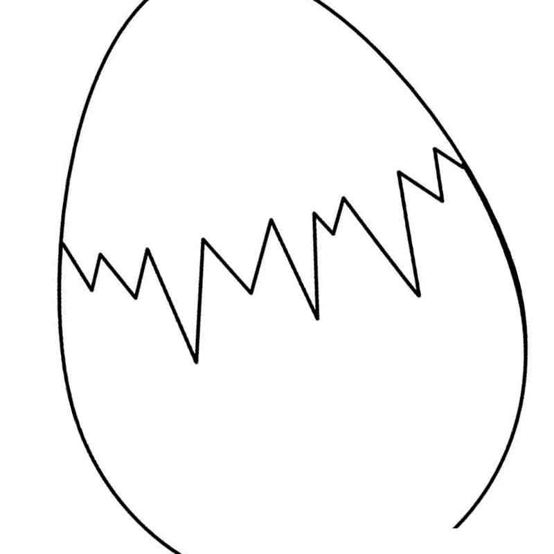форма яйца