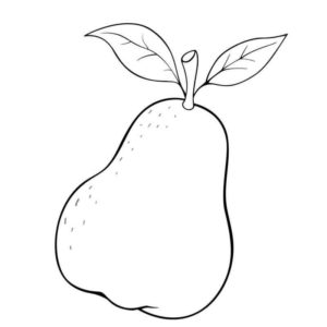 фрукт груша