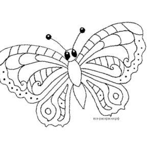 Гениальная бабочка