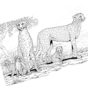 гепард и ее детки