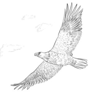 грациозный орел