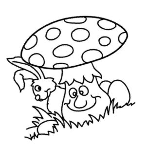 гриб и заяц