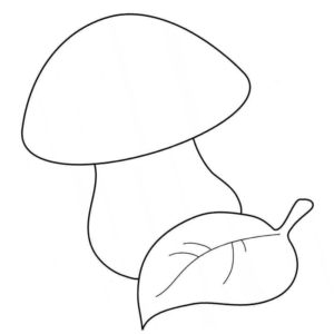 гриб с листком дерева