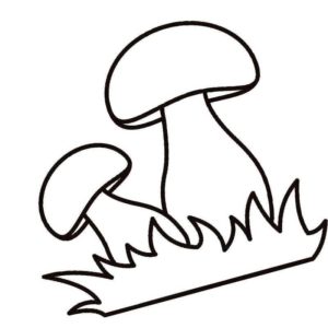 грибочки грибы