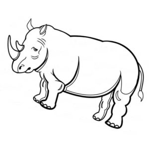 грустный носорог
