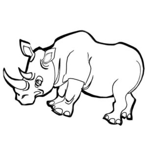 гуляющий носорог