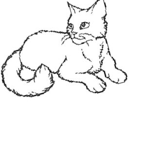Человек кошка раскраска