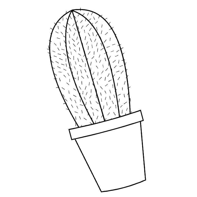 кактус с иголками в горшке