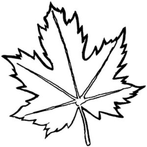 Канадский кленовый лист