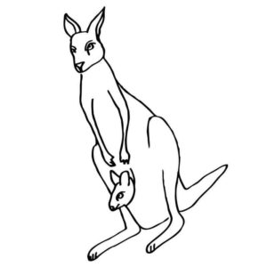кенгуриха с малышом