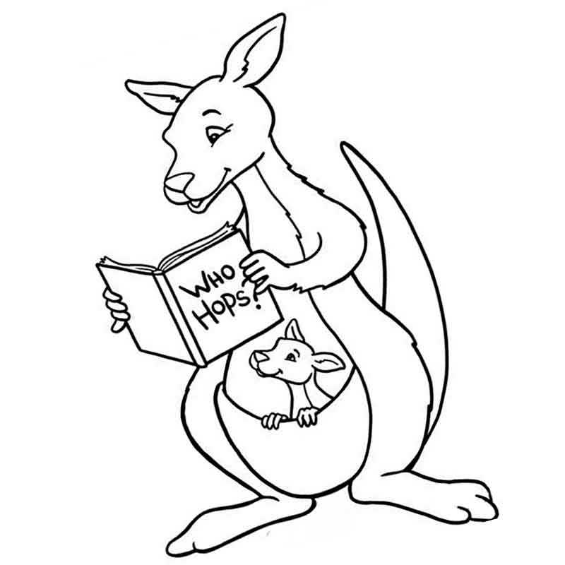 кенгуру с книгой