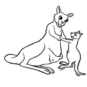 кенгуру с мамой