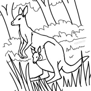 кенгуру в кустах