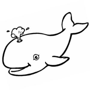 кит пускакт фонтан