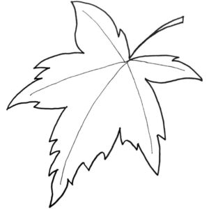 кленовый лист по осени