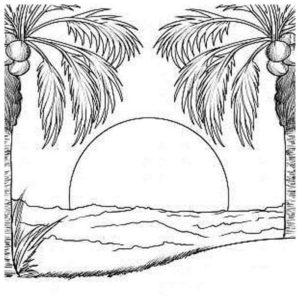 кокосовые пальмы