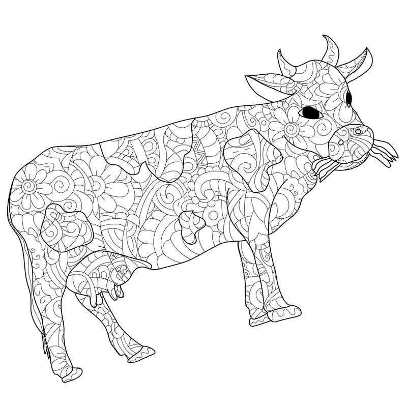Раскраска Пятнистая корова