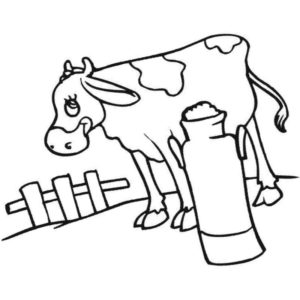 корова дает молоко