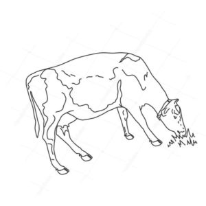 корова и трава