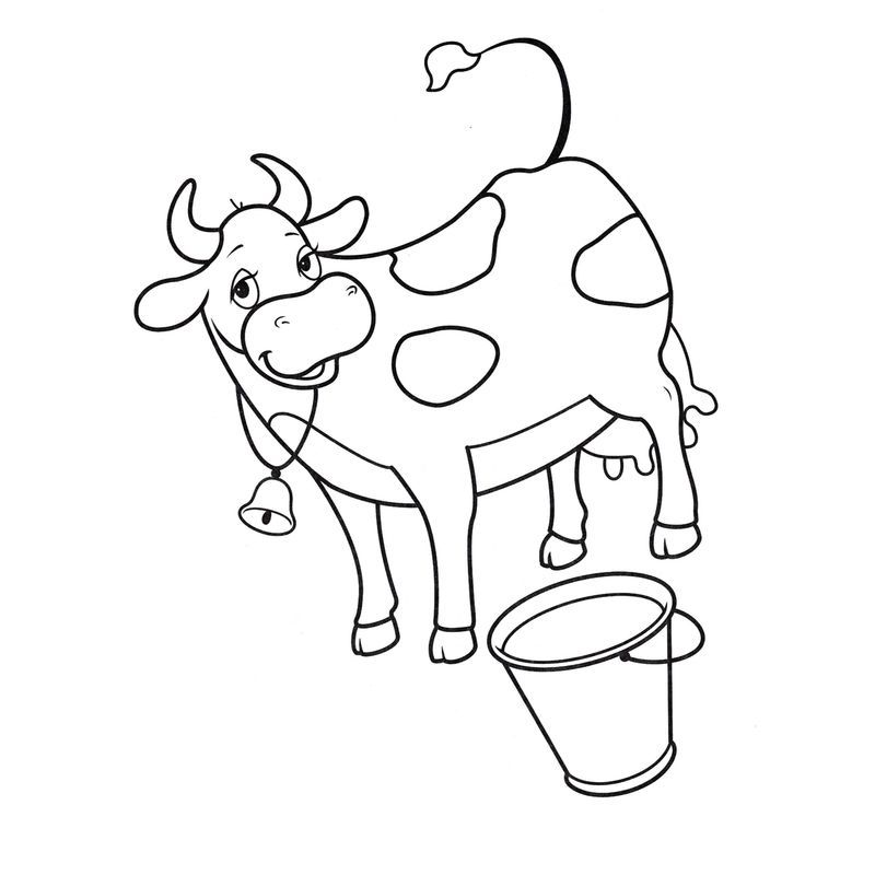 корова и ведро молока