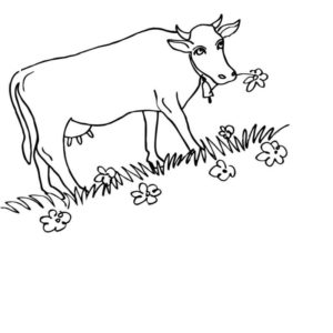 коровка любит кушать траву