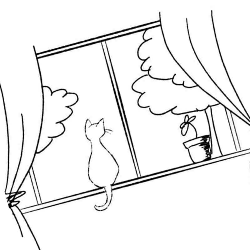кошка смотрит в окно