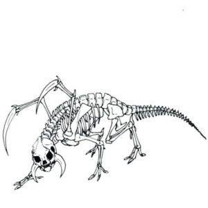 кости скелета динозавра