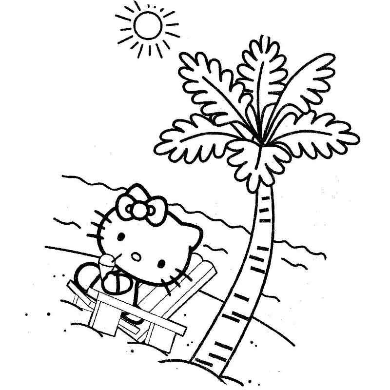 котенок отдыхает под пальмой